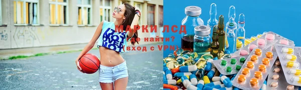 тгк Новокубанск