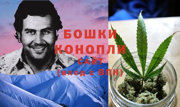 гидра Жердевка