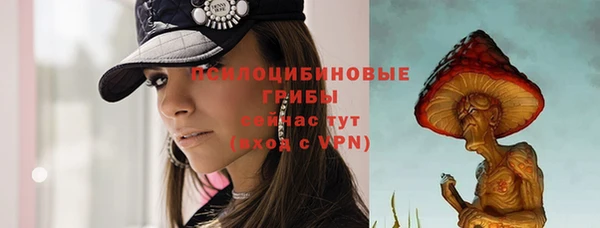 крисы Нязепетровск