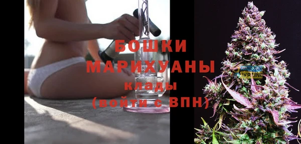 мдма Новодвинск
