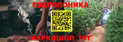экстази Аргун
