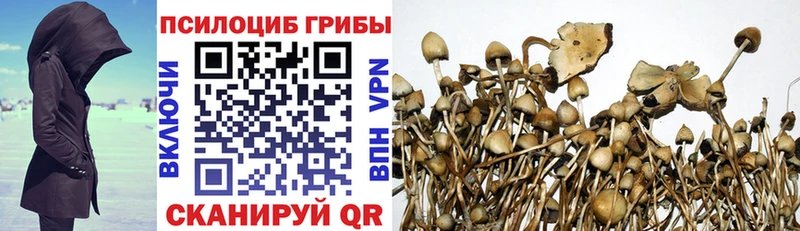 Псилоцибиновые грибы ЛСД  Кизилюрт 