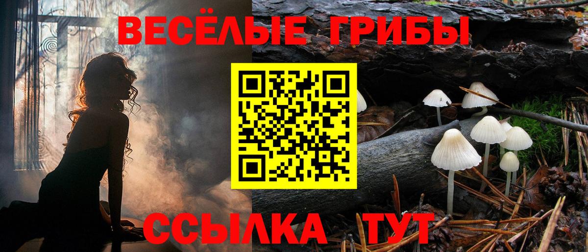 Галлюциногенные грибы Magic Shrooms Кизилюрт