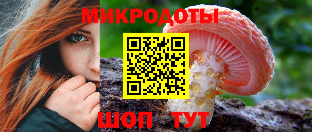 Псилоцибиновые грибы Psilocybe Кизилюрт